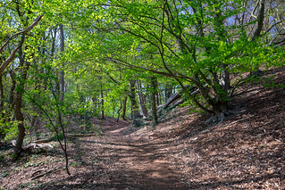 33779263698_8f08ae474f_n 33779263698_8f08ae474f_n