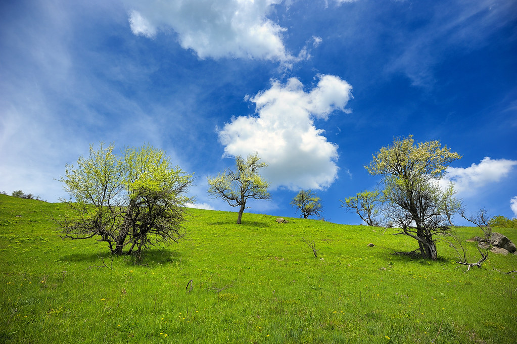 7818369580_2cbca88a64_b 7818369580_2cbca88a64_b